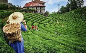 KURBAN BAYRAMI KARADENİZ TURU